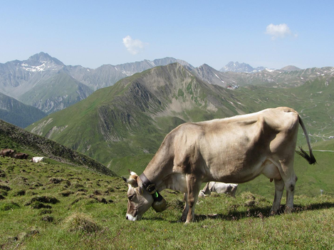 Bild | © Tourismusverband Paznaun - Ischgl