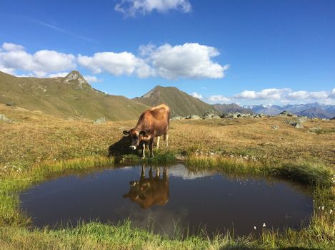 Bild | © Tourismusverband Paznaun - Ischgl