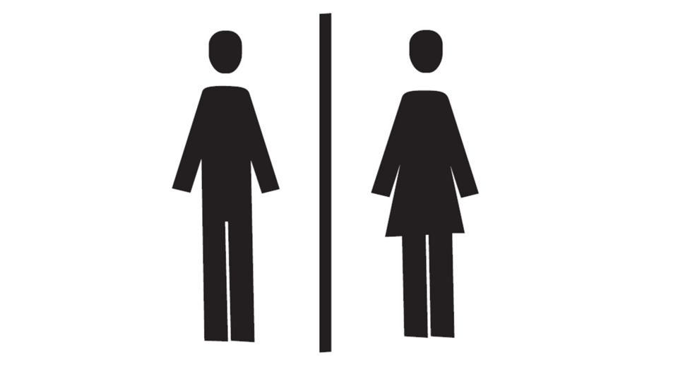 A simple symbol for toilets. On the left side, there is a figure of a man and on the right side, a figure of a woman depicted.