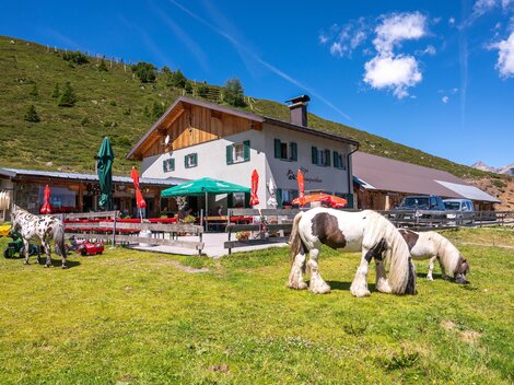 An idyllic mountain cabin surrounded by green meadows. Horses graze peacefully next to the cabin under a clear blue sky.