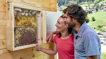Ein Paar schaut fasziniert auf ein Bienenspiel im Kasten. Im Hintergrund sind grüne Hügel und ein Dorf zu sehen.