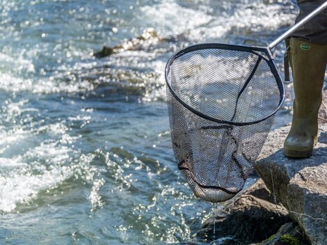 A person stands at the edge of a body of water holding a net in their hand. Reflective waves can be seen in the water.