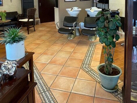 A salon with modern hairdresser chairs and washbasins. The walls are decorated with pictures and a plant.