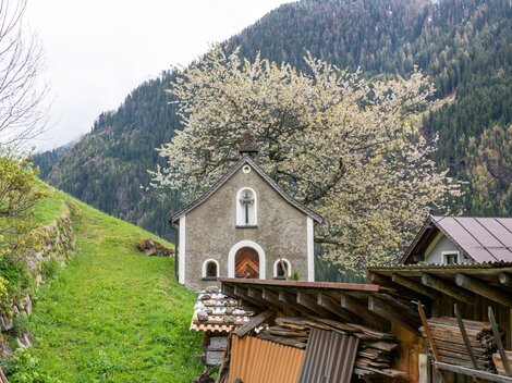 A small church with a blooming tree nearby. In the background, green meadows and mountains are visible. | © Bernhard Gruber – Photography