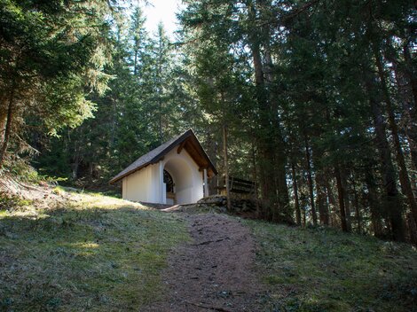 A small cabin stands on a hill among tall trees. The path to it is easy to recognize and leads through the forest. | © ©Bernhard Gruber – Photography